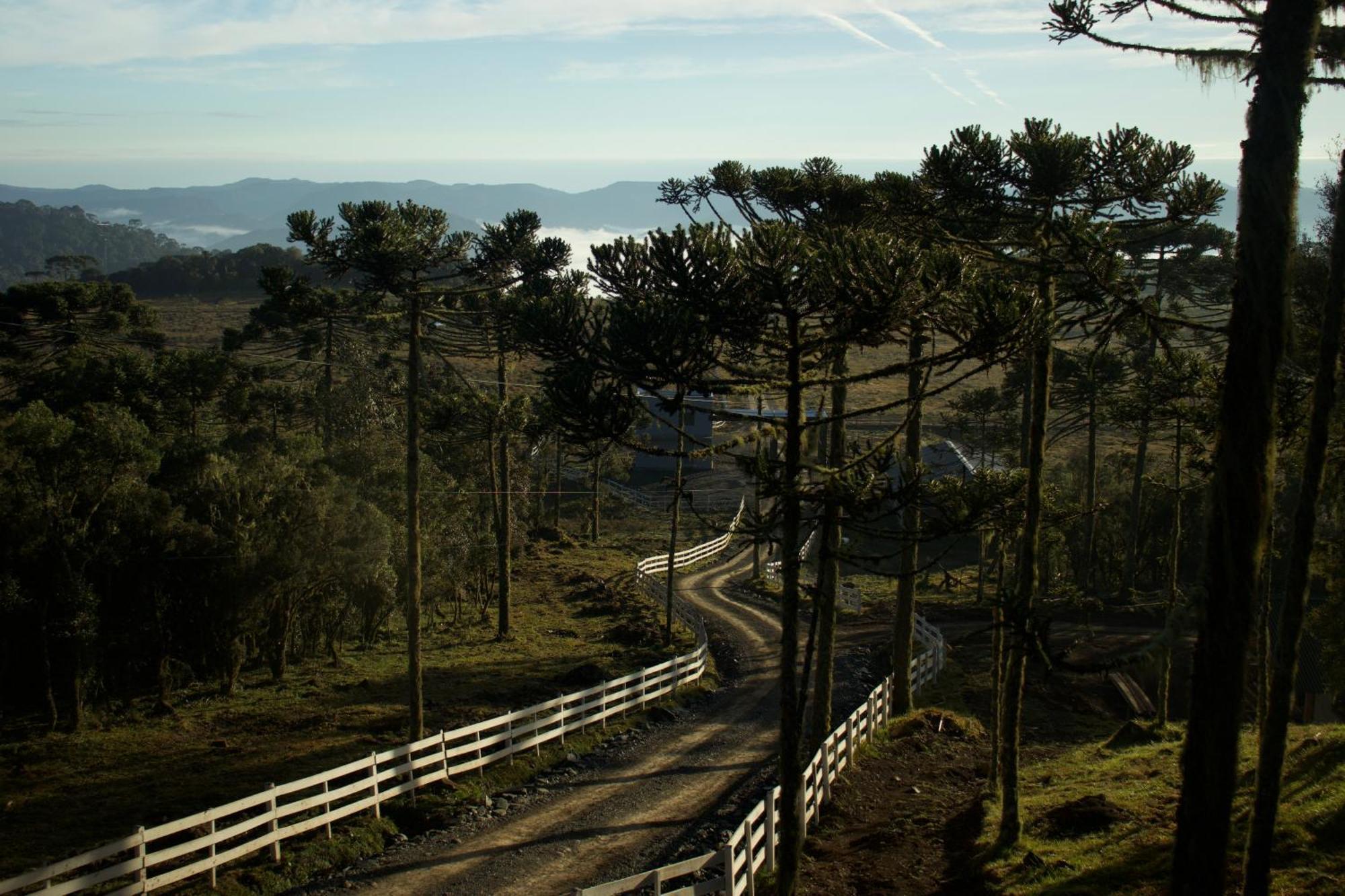 Vale Tancon Eco Village Urubici Exterior foto