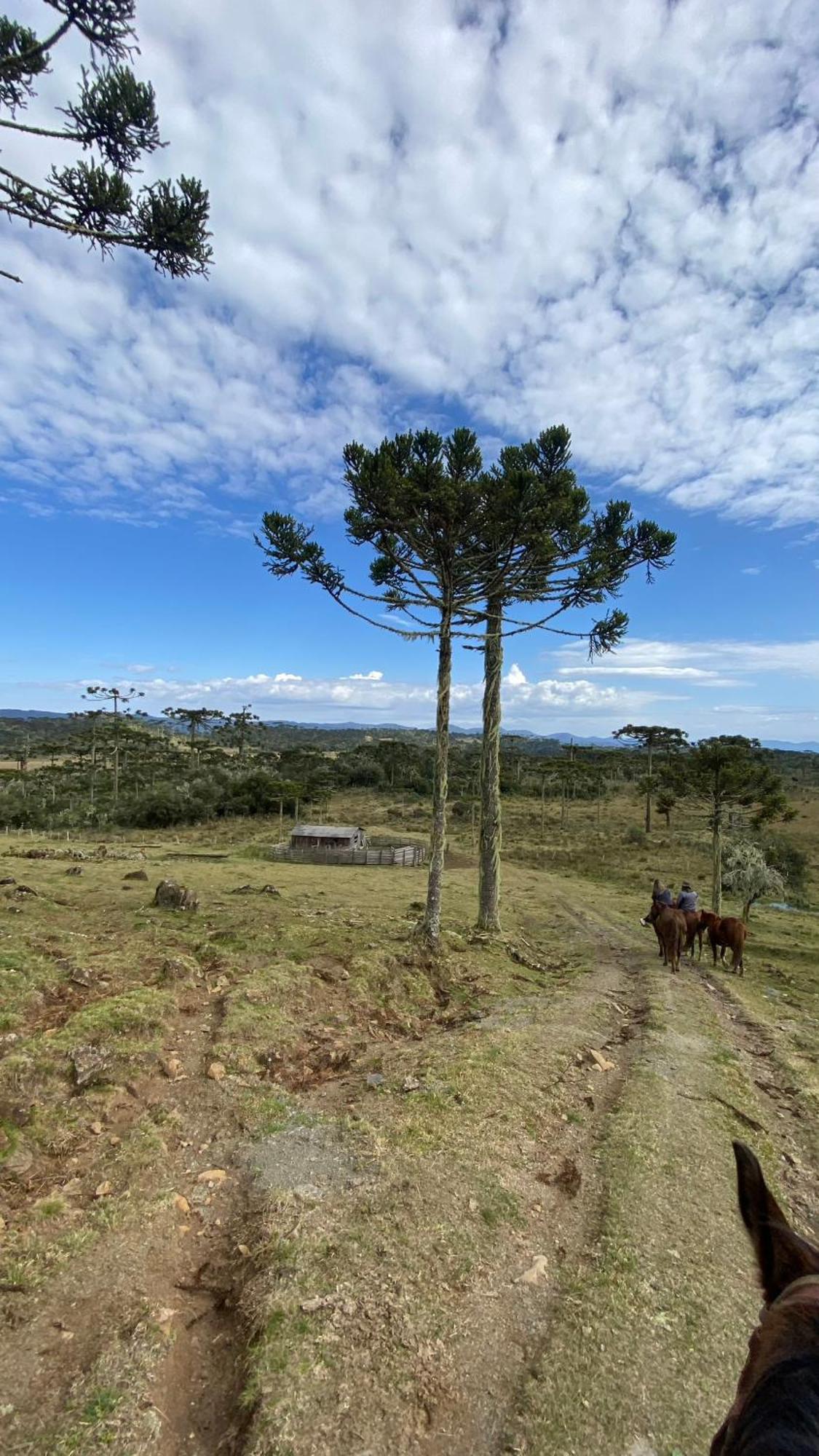 Vale Tancon Eco Village Urubici Exterior foto